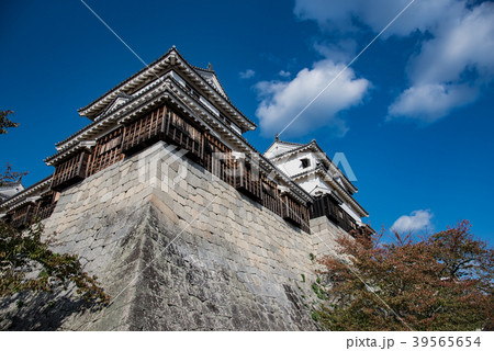 愛媛県 秋の松山城 本丸 愛媛県 秋の松山城 本丸 39565654