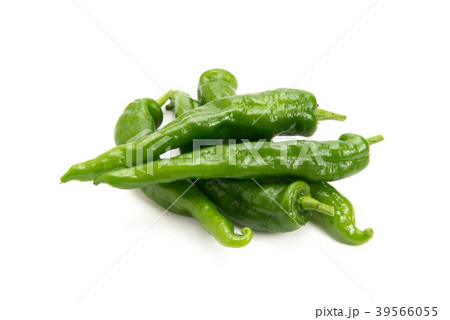 甘長とうがらし 甘長とうがらし 39566055