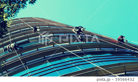 Industrial alpinists cleaning skyscraper 39566432