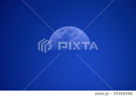 青空に浮かぶ月 39568486