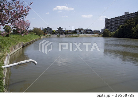 農業用堰 39569738