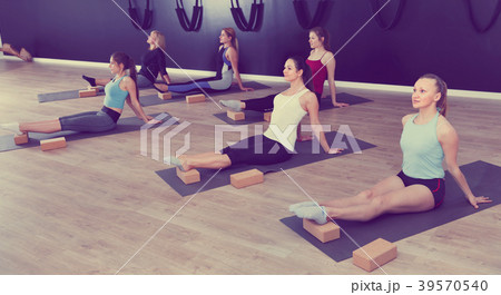 Group of females exercising during yoga class at gym 39570540