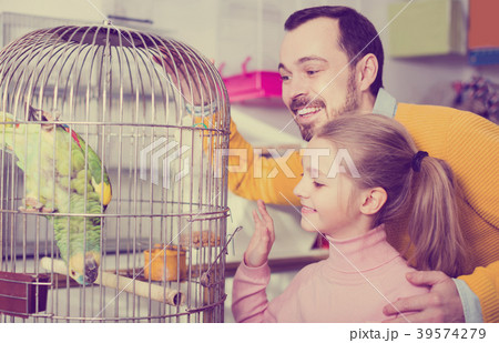 father and daughter excited to see green parrot in pet shop father and daughter excited to see green parrot in pet shop 39574279