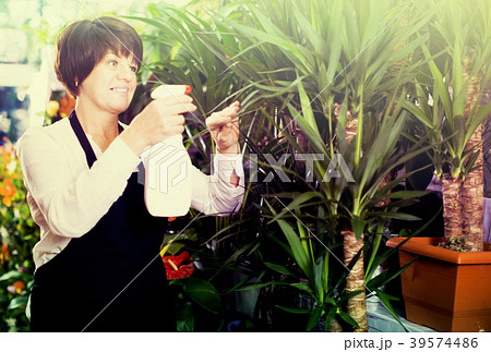 Shop assistant showing yucca trees 39574486