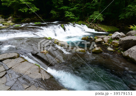 菊池渓谷 39579151