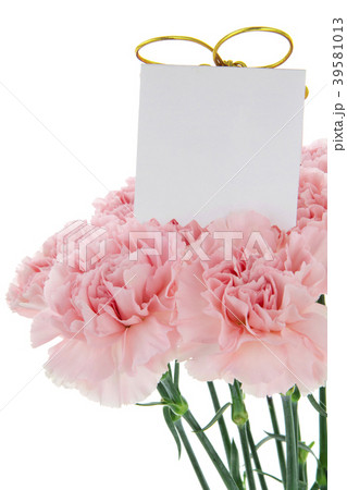 母の日 マザーズデー マザーズデイ 39581013