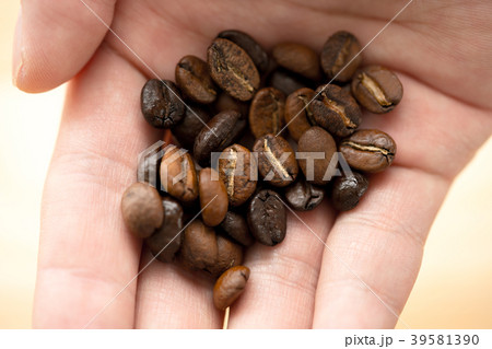 コーヒー豆 コーヒー豆 39581390