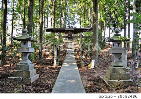 日本のピラミッド（皆神神社）鳥居と石灯籠 39582486