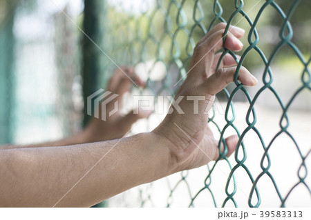 hands holding fence hands holding fence 39583313