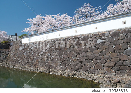 春爛漫の甲府城 39583358