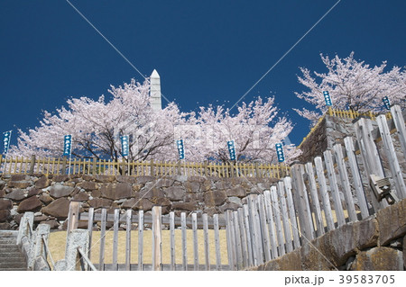春爛漫の甲府城 春爛漫の甲府城 39583705