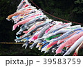 こいのぼり　５月　こどもの日 39583759