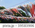 5月　こいのぼり　こどもの日 39583906
