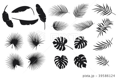 Set of tropical leaves plants on a white backgroun 39586124