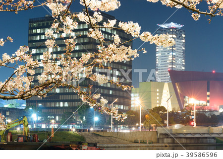夜桜と都市景観【福岡県北九州市】 夜桜と都市景観【福岡県北九州市】 39586596