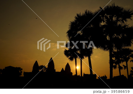 カンボジアのシェムリアプのアンコールワットの朝焼け 39586659