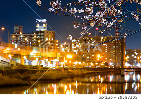 紫川さくら通りの夜桜【福岡県北九州市】 紫川さくら通りの夜桜【福岡県北九州市】 39587305