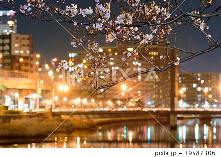 紫川さくら通りの夜桜【福岡県北九州市】 紫川さくら通りの夜桜【福岡県北九州市】 39587306