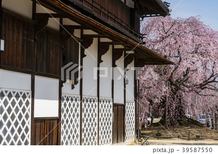 麻績の里 舞台桜 長野県飯田市 麻績の里 舞台桜 長野県飯田市 39587550