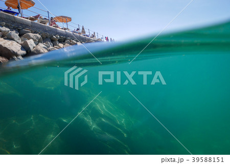 Half and half view, underwater and coastline Half and half view, underwater and coastline 39588151