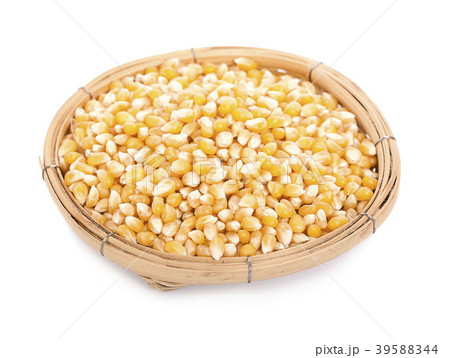yellow Corn in basket isolated on white background 39588344