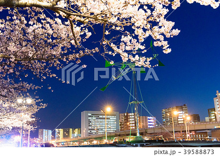 紫川さくら通りの夜桜【福岡県北九州市】 紫川さくら通りの夜桜【福岡県北九州市】 39588873