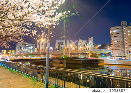 紫川さくら通りの夜桜【福岡県北九州市】 紫川さくら通りの夜桜【福岡県北九州市】 39588874