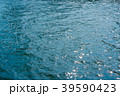 ダークブルーの海 39590423