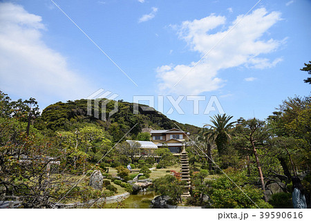 公園散歩 39590616