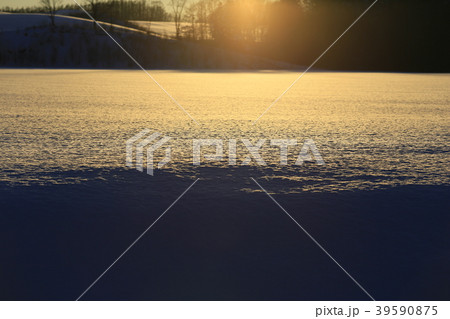 雪を照らす太陽 雪を照らす太陽 39590875