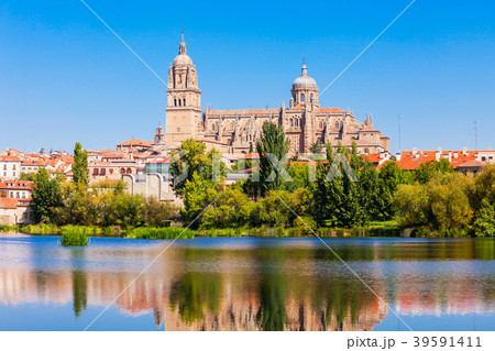 Salamanca Cathedral in Salamanca, Spain 39591411