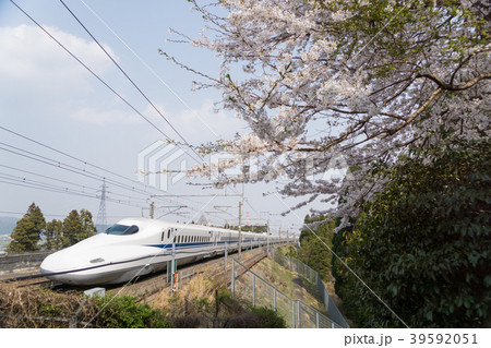 東海道新幹線N700系とソメイヨシノ 39592051