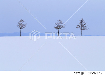 北海道大空町 メルヘンの丘 北海道大空町 メルヘンの丘 39592147