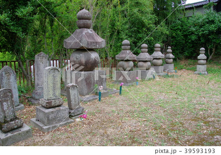 額安寺 鎌倉五輪塔 額安寺 鎌倉五輪塔 39593193