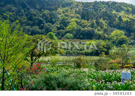 台北 台北市 タイペイ 39593283