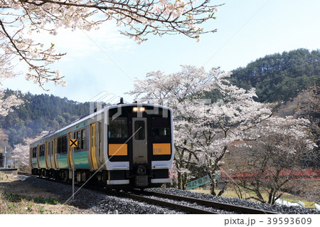 水郡線と桜(矢祭山) 水郡線と桜(矢祭山) 39593609