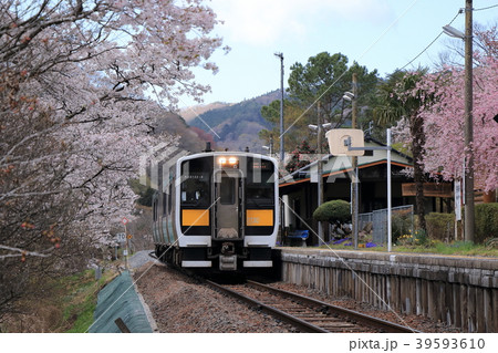 水郡線と桜（矢祭山） 39593610