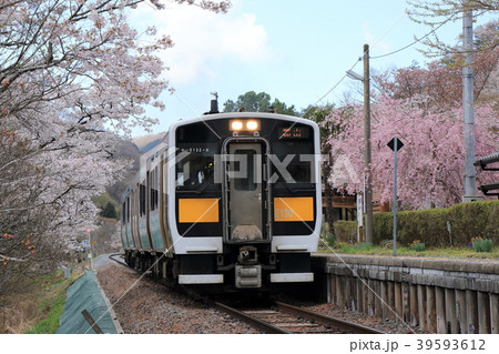 水郡線と桜（矢祭山） 39593612