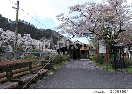 春の矢祭山駅 39593694