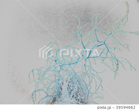 abstract white patchwork dead tree spray of water 39594662