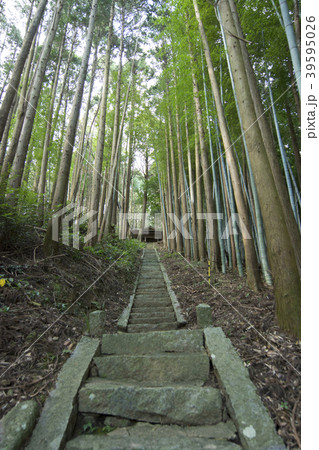 福岡 福岡 39595026