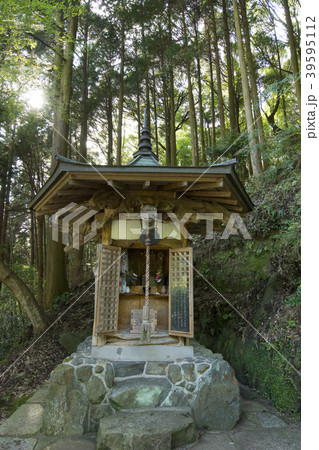 福岡 福岡 39595112
