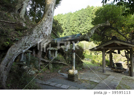 福岡 福岡 39595113