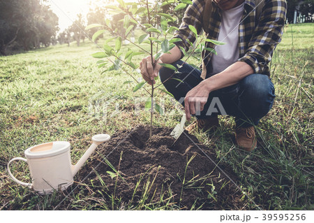 Young man planting the tree while Watering a tree working in the Young man planting the tree while Watering a tree working in the 39595256