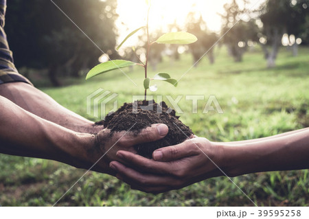 Young couple carrying a seedlings to be planted into the soil in Young couple carrying a seedlings to be planted into the soil in 39595258