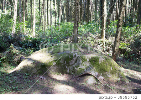 西郷隆盛御座石 39595752