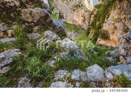 Mountain Canyon in Montenegro 39596400