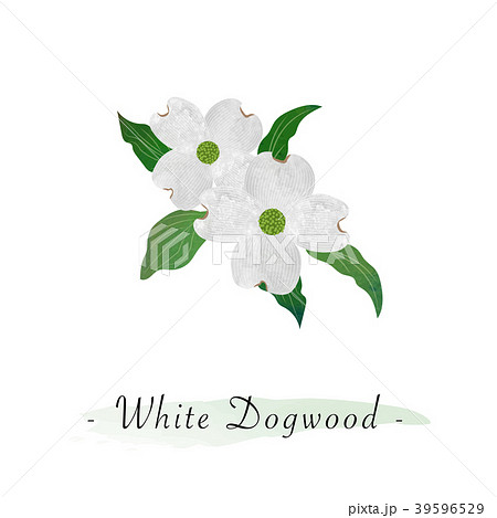 Watercolor vector botanic garden flower plant 39596529