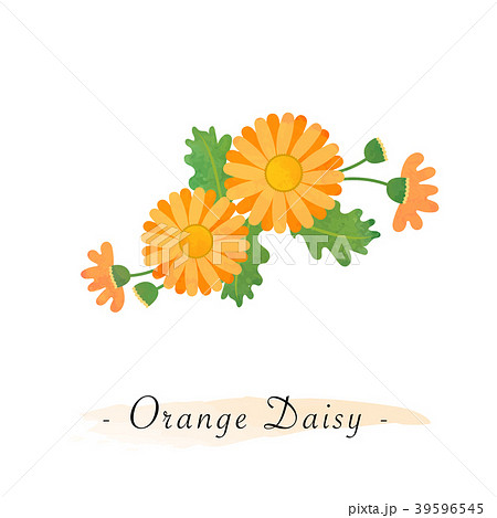 Watercolor vector botanic garden flower plant Watercolor vector botanic garden flower plant 39596545