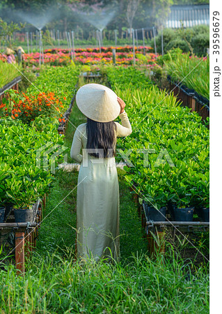 Vietnamese woman with traditional dress Vietnamese woman with traditional dress 39596679